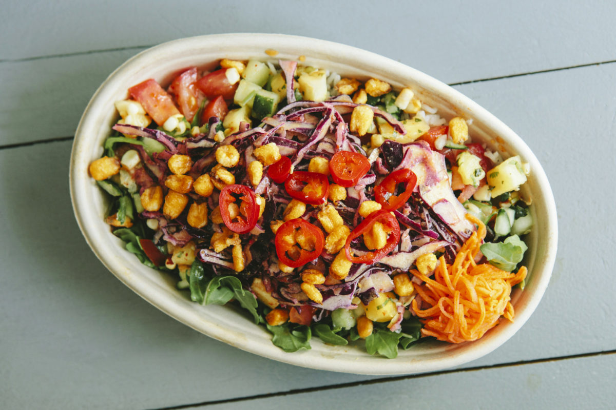 Tazon style bowl from Whole Heart Provisions