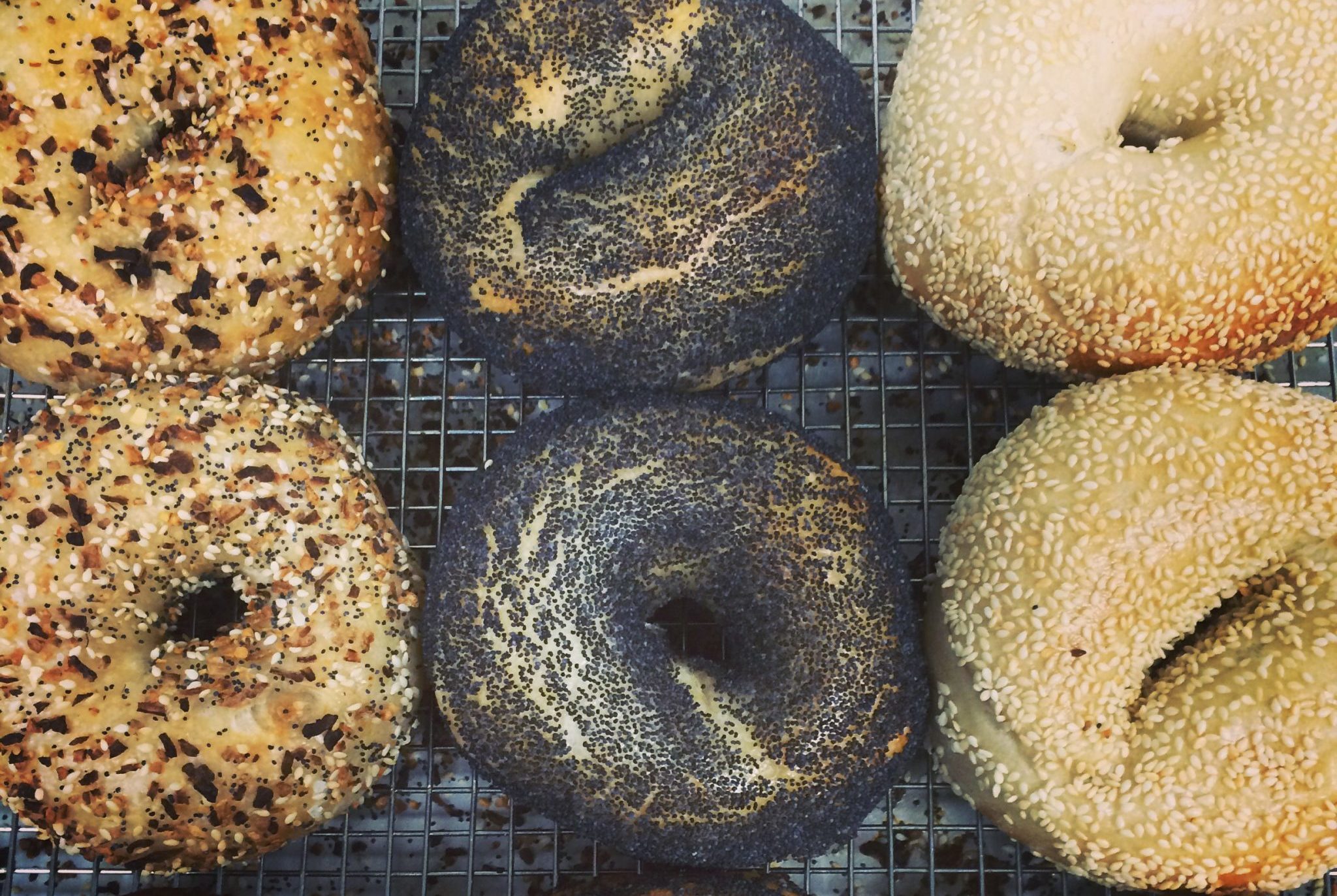 Where to Order the Best Bagels in Boston · The Food Lens