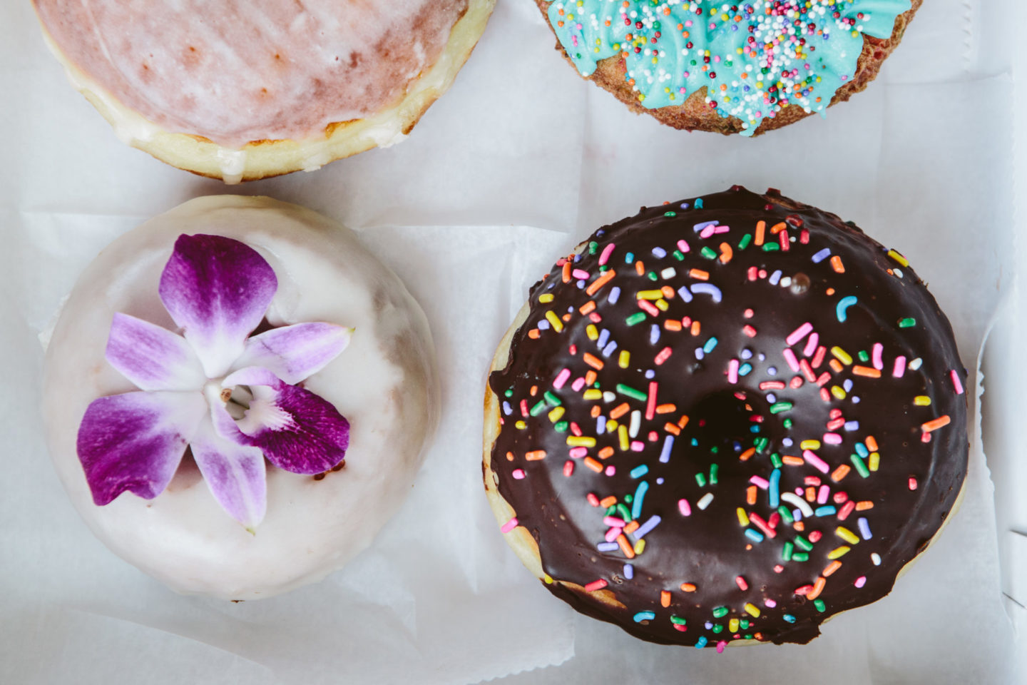 The Best Restaurants in Newton, Mass. · Boston · The Food Lens