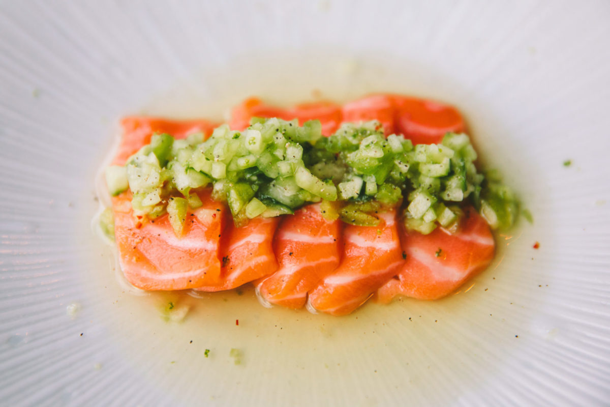 Salmon crudo from Pagu 