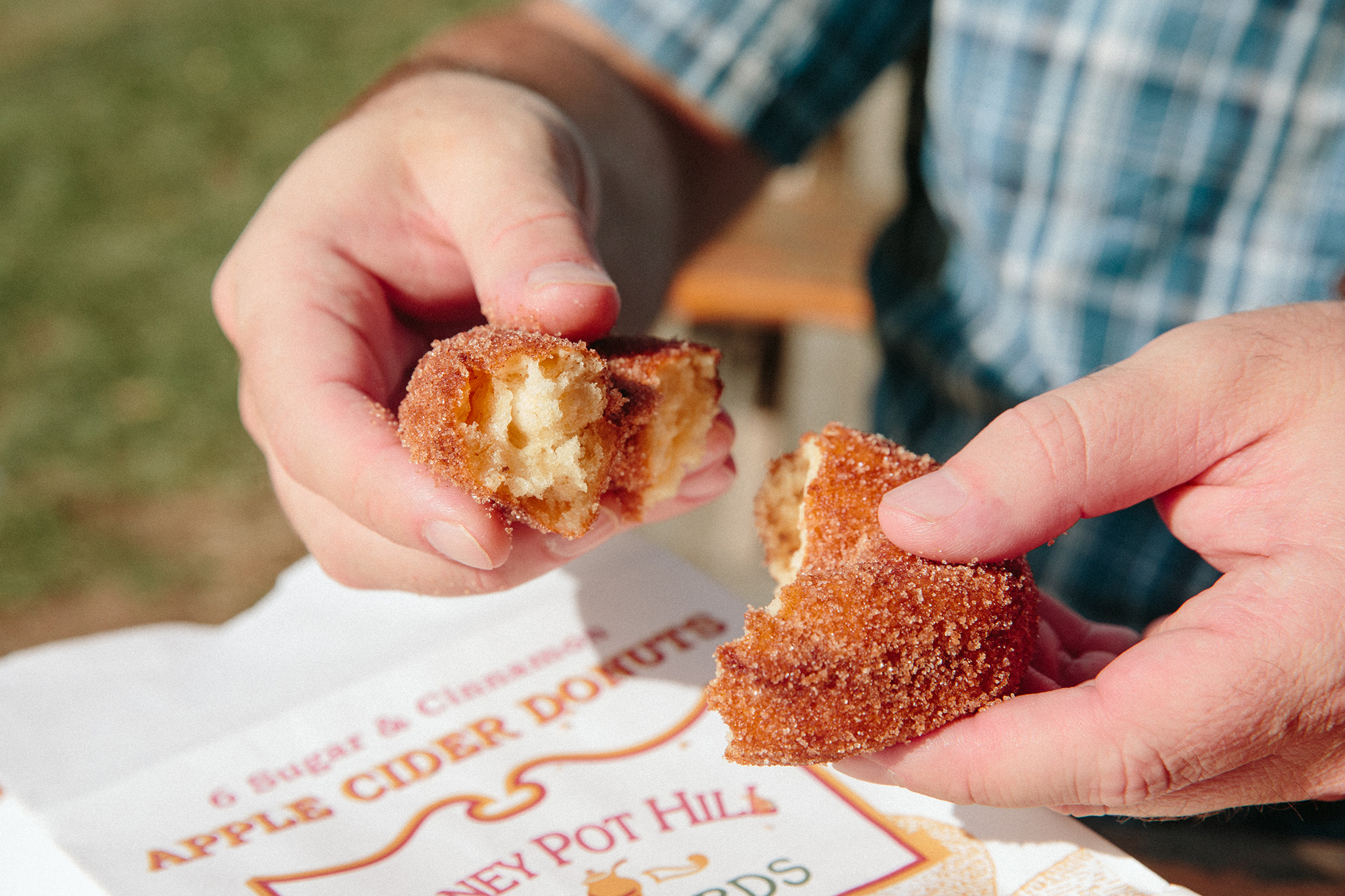 The Best Apple Cider Doughnuts in and around Boston · The Food Lens