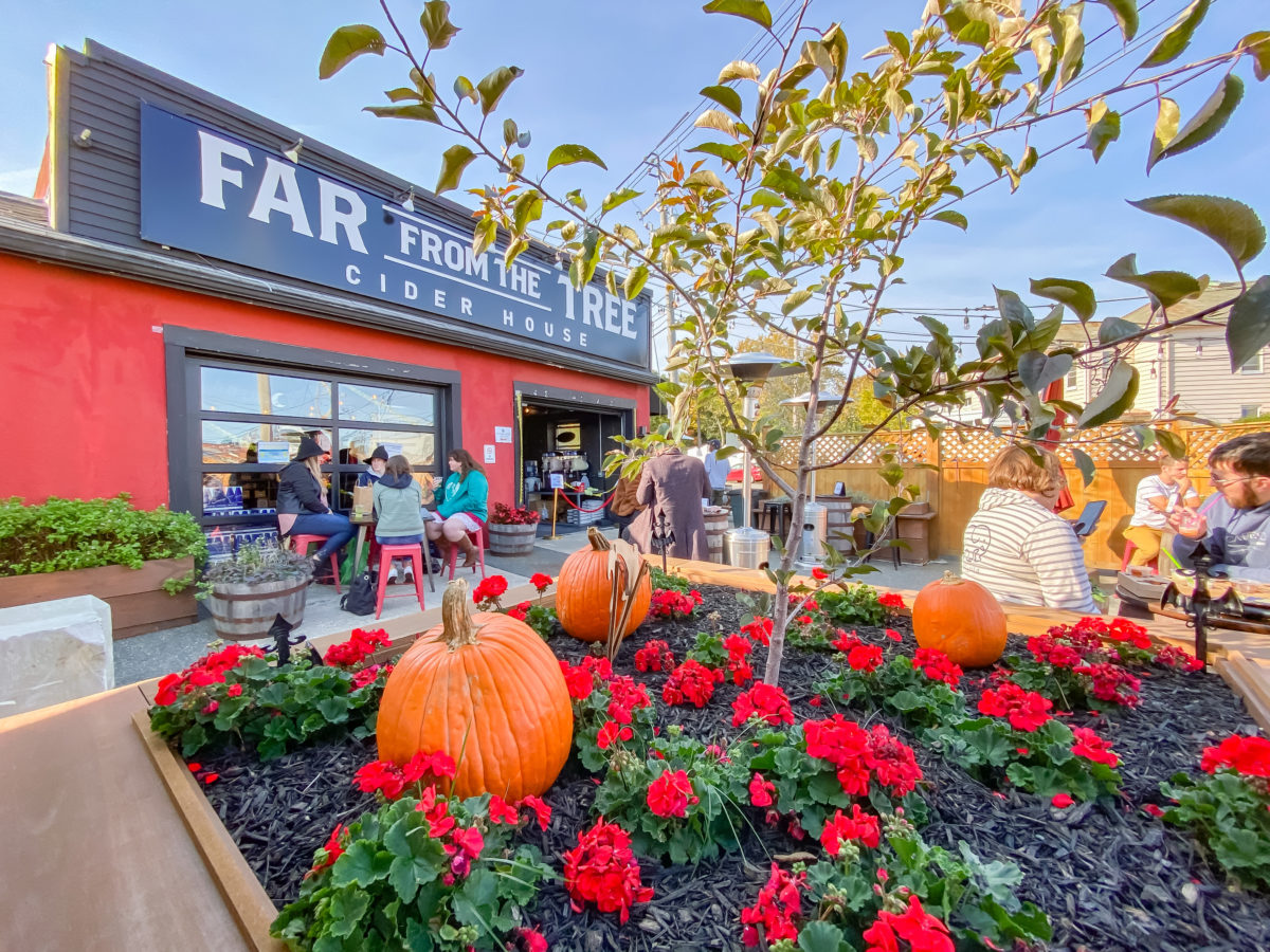 Far from the Tree Cider - The Best Breweries, Cideries, and Distilleries in Salem