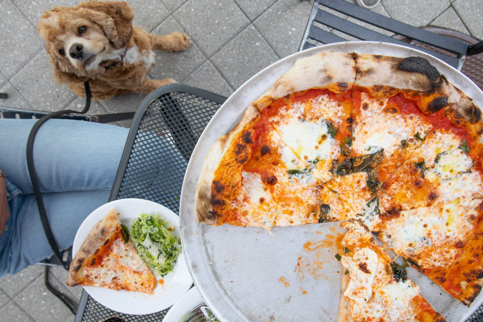 Where to Find DogFriendly Restaurant Patios and Beer Gardens around