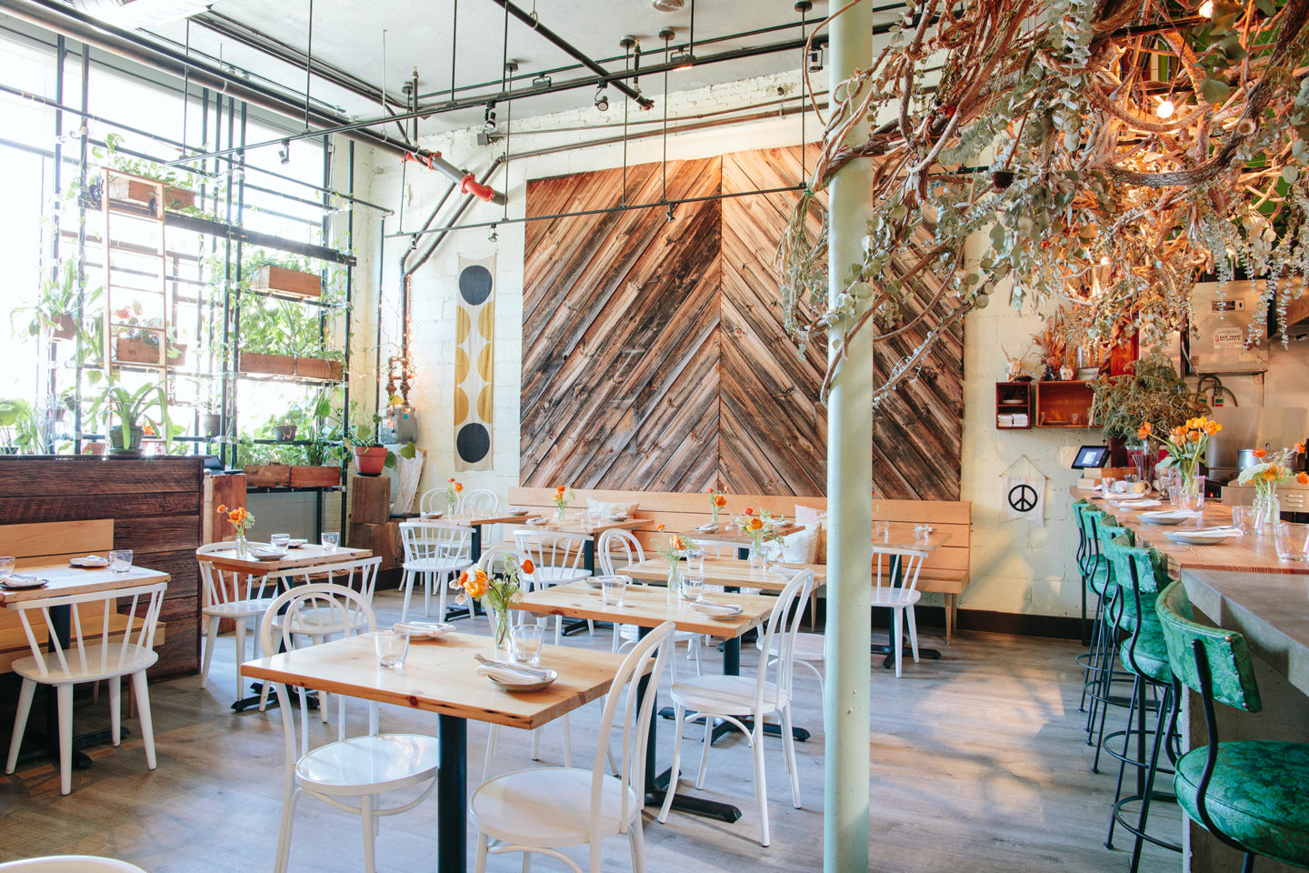 Field & Vine · Photos & Review · Somerville · The Food Lens