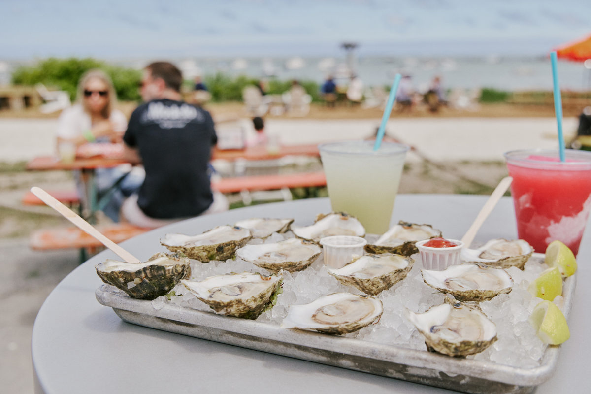 oyster from Raw Bar at Island Creek Oyster Farm one of the best Restaurants and Takeout Options in Duxbury