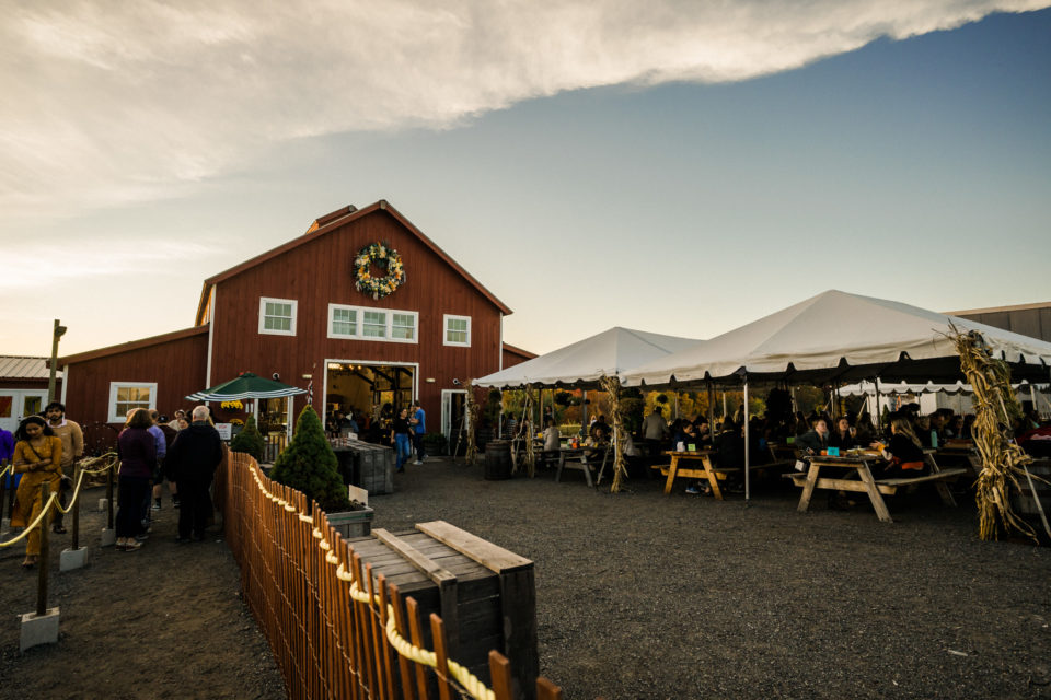Six Hard Cider Taprooms to Visit within 1 Hour of Boston · The Food Lens